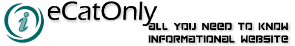 eCatOnly - Extending the reach of e-commerce